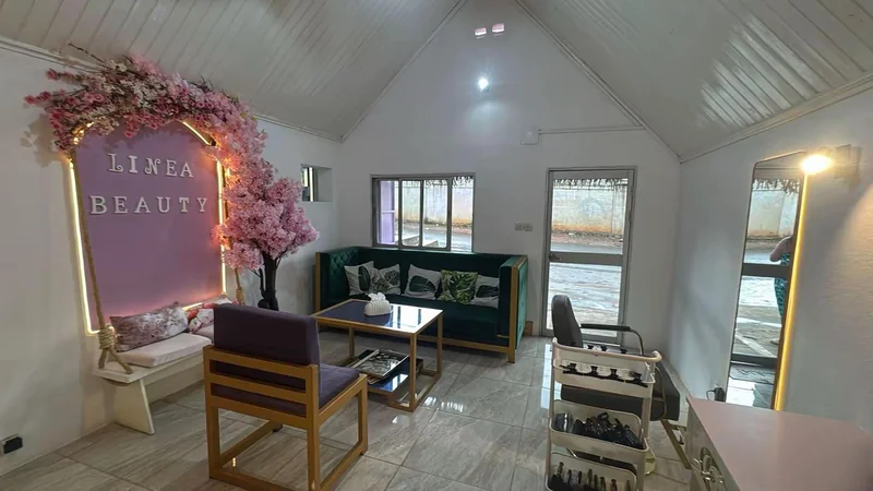 Vue d'ensemble du salon Linea Beauty